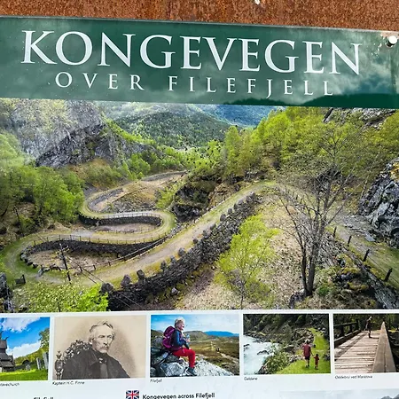 Mjosvang Kafe * Vang I Valdres