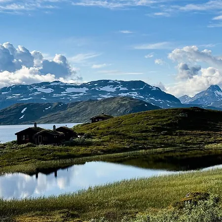 Mjosvang Kafe Apartment *