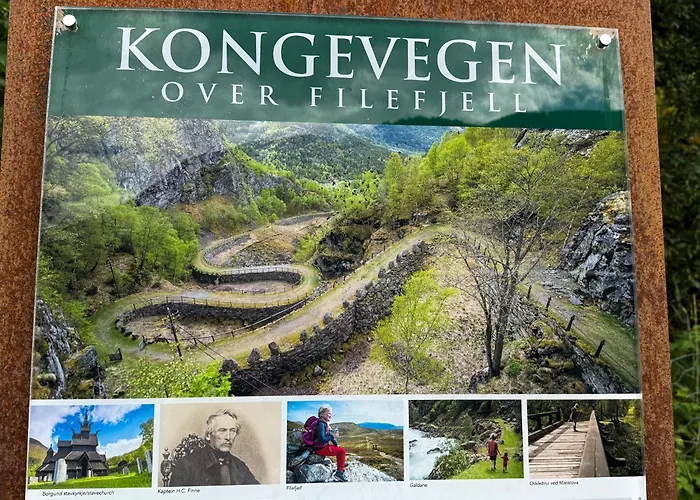 Mjosvang Kafe * Vang I Valdres