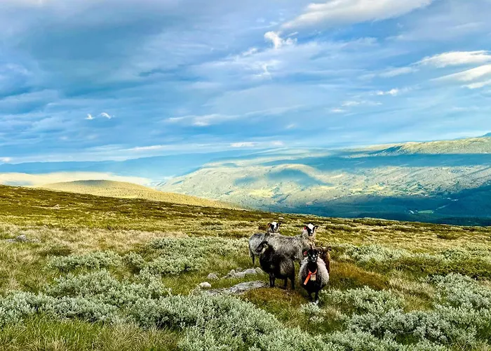 Mjosvang Kafe דירה