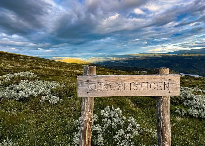 Mjosvang Kafe דירה