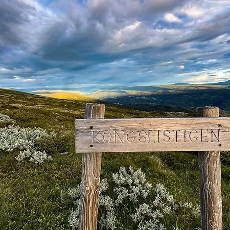 Mjosvang Kafe アパート